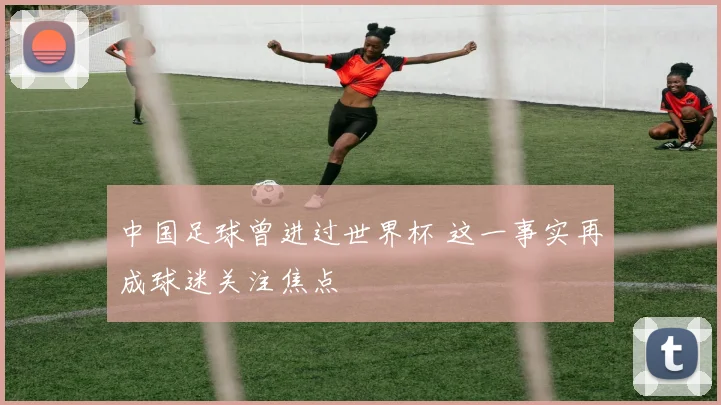 中国足球曾进过世界杯 这一事实再成球迷关注焦点