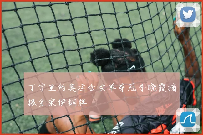 丁宁里约奥运会女单夺冠李晓霞摘银金宋伊铜牌