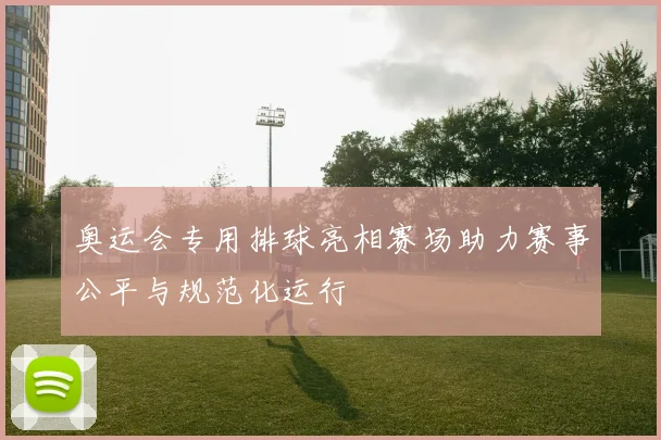 奥运会专用排球亮相赛场助力赛事公平与规范化运行