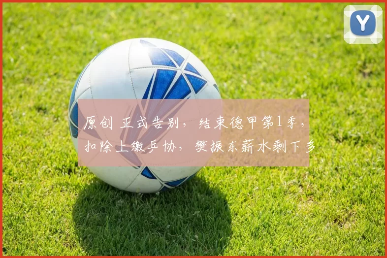 原创 正式告别，结束德甲第1季，扣除上缴乒协，樊振东薪水剩下多少？