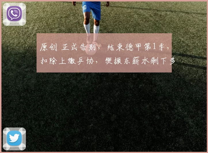 原创 正式告别，结束德甲第1季，扣除上缴乒协，樊振东薪水剩下多少？